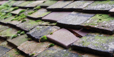 South Benfleet roof repair costs